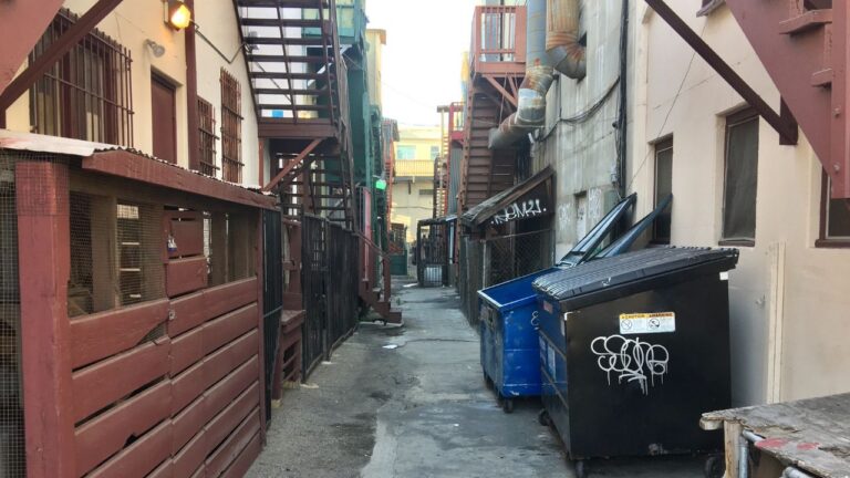 9 Los Angeles Dumpster Finds That May Come With an Unexpected Catch for Californians