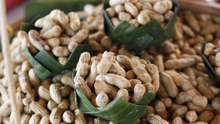 8 Boiled Peanut Rules South Carolinians Take More Seriously Than Visitors Expect