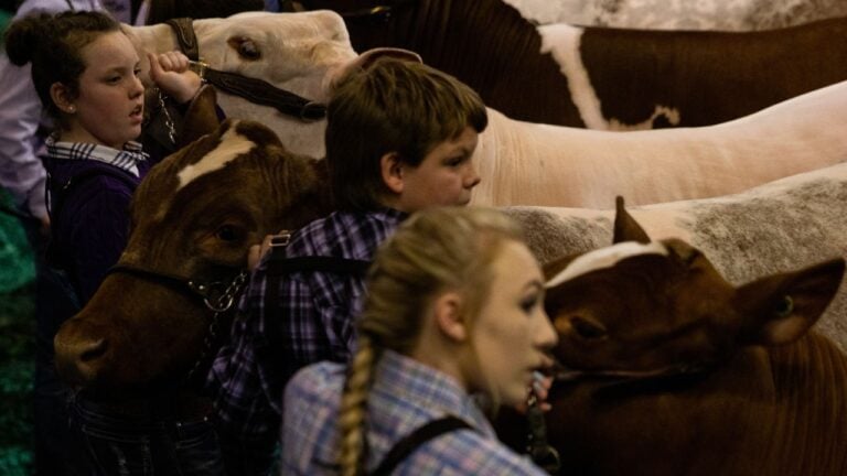 8 Small-Town Texas Traditions That Baffle Everyone Who Moves In