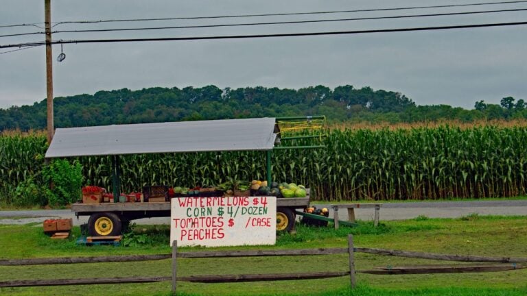 8 Virginia Roadside Stands Tourists Blow Past Without Ever Knowing What They Missed