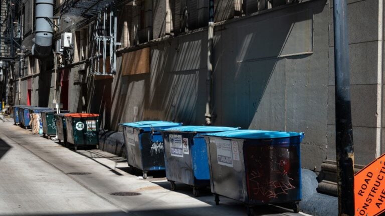 9 Chicago Alley Rules That Illinois Residents and Dumpster Divers Get Wrong