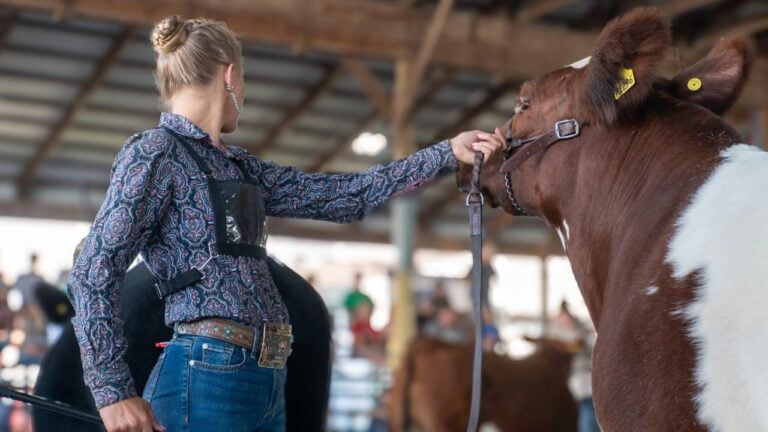 9 Habits That Instantly Reveal Someone Grew Up in California’s Central Valley