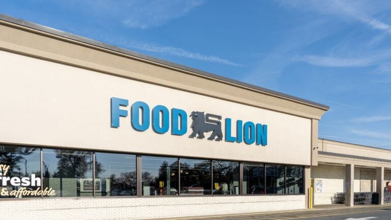7 Ways Food Lion Costs South Carolinians More Than They Planned