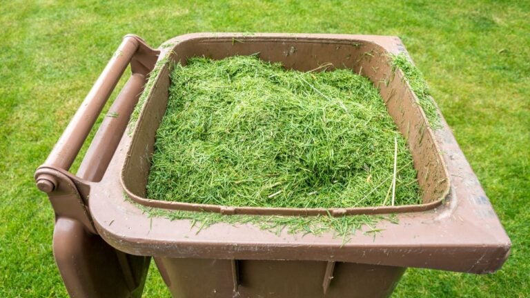3 Recycling and Composting Mistakes in Seattle That Could Result in Warnings or Fines for Washingtonians