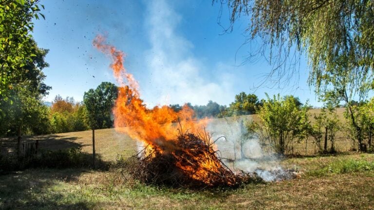 9 Pennsylvania Yard Burning Rules That Neighbors Call the Township About