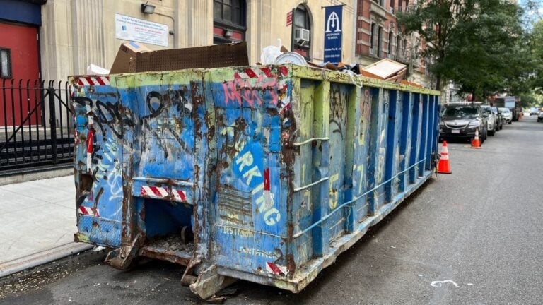 6 New York City Sidewalk Rules Homeowners Are Fined For