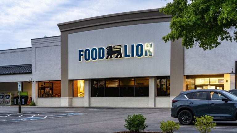 7 Food Lion Checkout Moves That Save Virginians Money Every Week