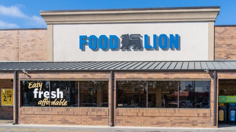 4 Food Lion Savings Some Tennessee Shoppers Over 60 Never Get Around to Claiming