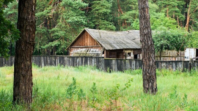 8 Ways South Carolinians Lose Land They Inherited Without a Will