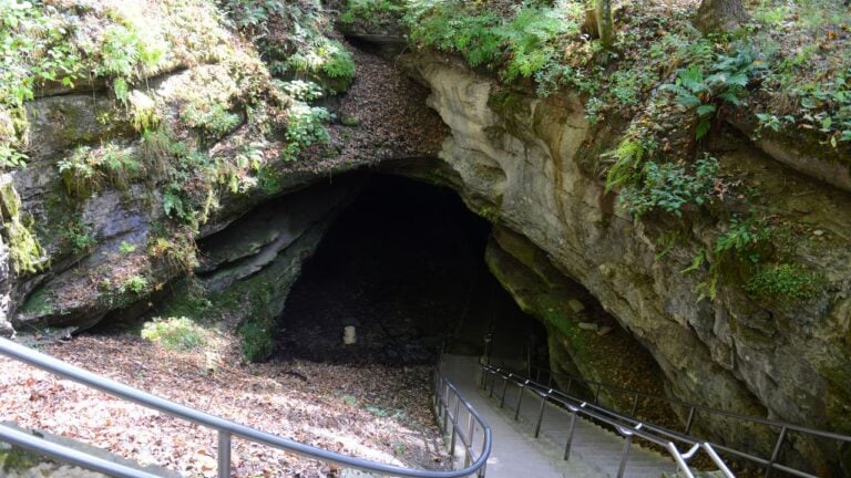 8 Mammoth Cave Mistakes That Cost Kentucky Visitors Their Tour