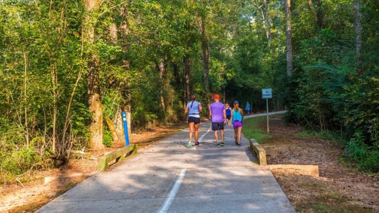 8 North Georgia Mountain Trips Visitors Plan Wrong Every Fall