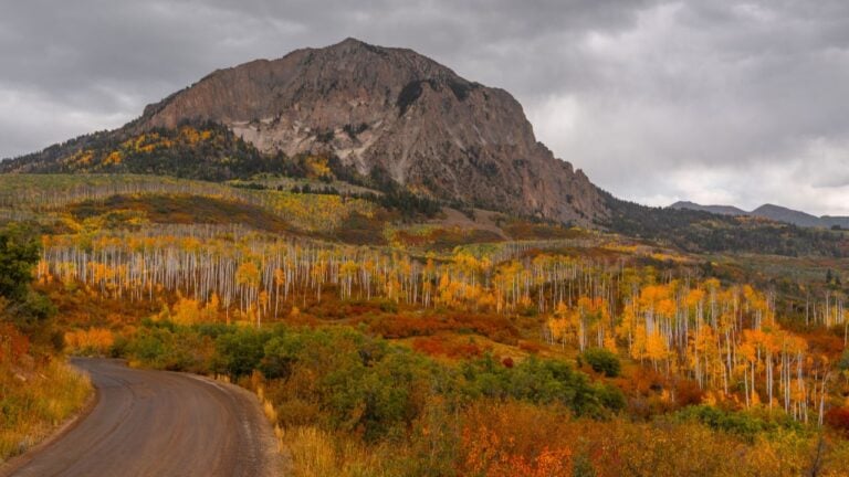 8 Aspen Viewing Mistakes That Ruin a September Drive in Colorado