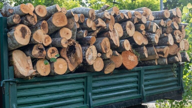 6 Firewood Buying Traps That Cost Pennsylvania Homeowners a Full Cord