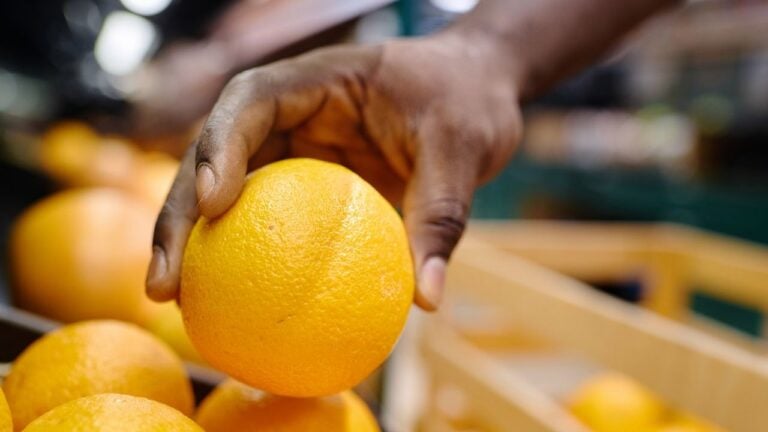 5 Things That Change About a Publix Run Once South Carolinians Cross Into Florida