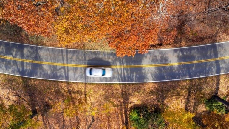 8 Blue Ridge Parkway Mistakes That Turn a North Carolina Leaf Drive Into a Bad Day