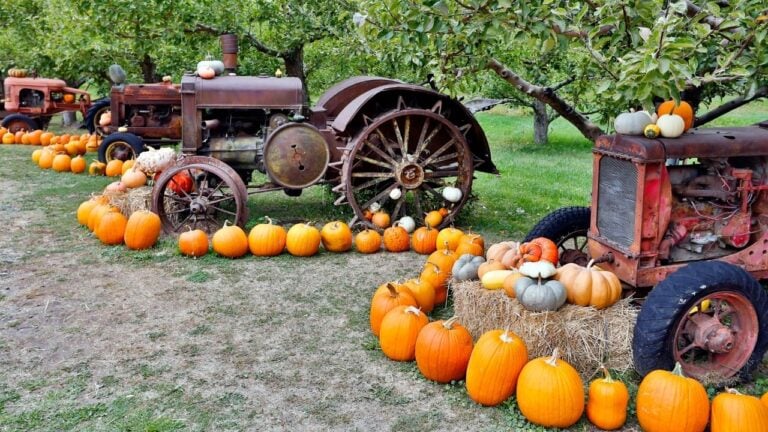 8 Things That Change at a Pennsylvania Farmers Market Once the Summer Crops End