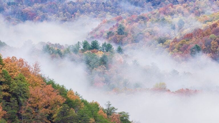 8 Mistakes Tourists Make Planning a Smokies Trip for Tennessee’s First Cool Weekend