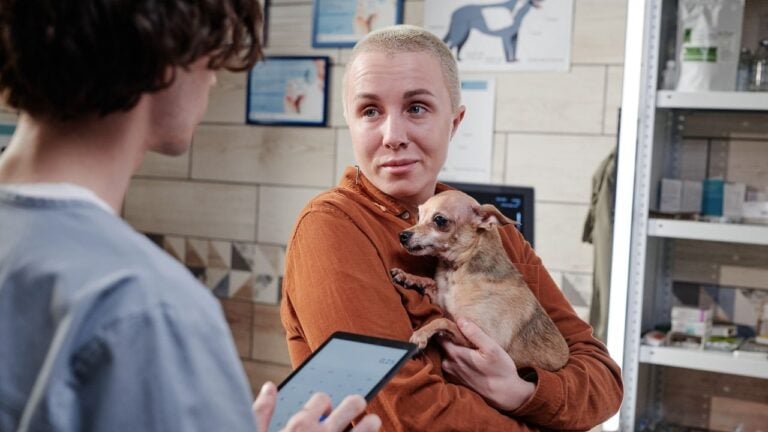 7 Things Veterinarians Wish Alabama Pet Owners Would Stop Doing