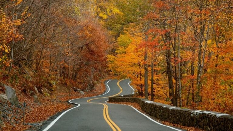 6 Relaxed New York Road Trips for Travelers Who Don’t Want to Rush
