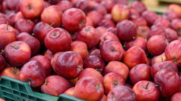 6 Things Tennesseans Buy at Roadside Produce Stands in September