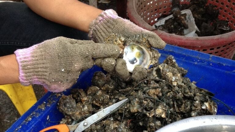 7 Unwritten Oyster Roast Rules Visitors Break in South Carolina’s Lowcountry