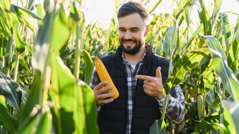 9 Signs Someone Was Raised in Nebraska, Even Decades After They Left