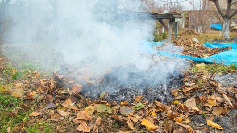 6 Things South Carolinians Can’t Stop a Neighbor From Burning Next Door