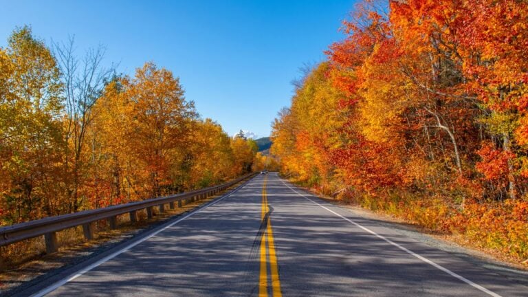 9 Things New Hampshire Natives Miss Most Once They Live Somewhere Else