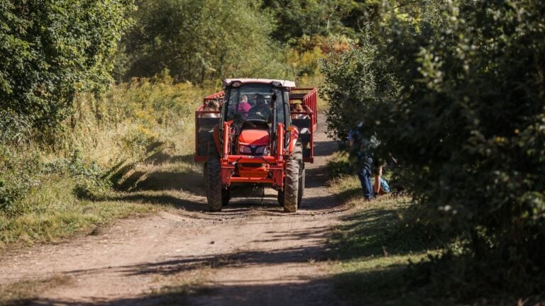 10 Things Upstate New Yorkers Do in September That the Rest of the State Finds Strange