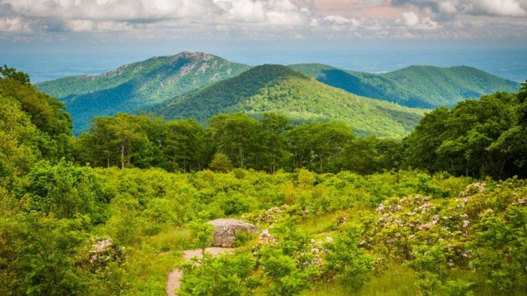 8 Mistakes Tourists Make Planning a First Shenandoah Trip in Virginia