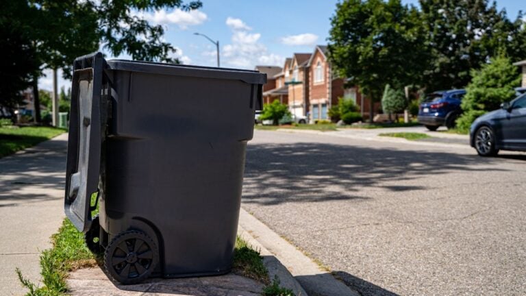 6 Things a Texas City Can Fine You for That an HOA Can’t Touch