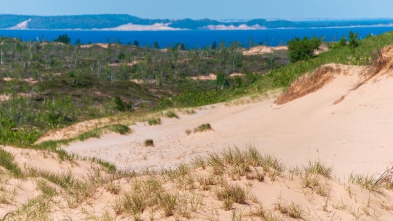 10 Ways One Side of Michigan Feels Like a Different State From the Other
