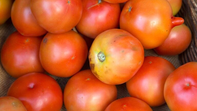 7 Roadside Stand Habits That Give Away a Native Alabamian