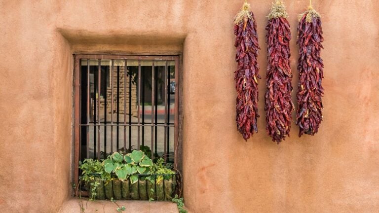 5 Things New Mexico Neighborhoods Do Differently When Monsoon Season Ends