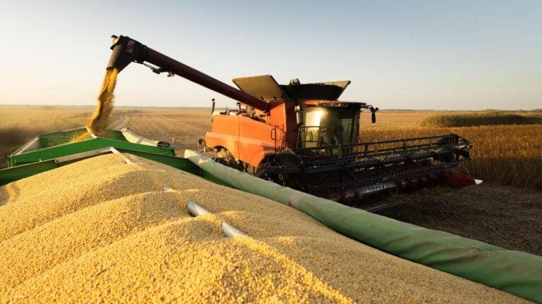 6 Grain Bin and Elevator Safety Rules That Surprise New Nebraska Landowners