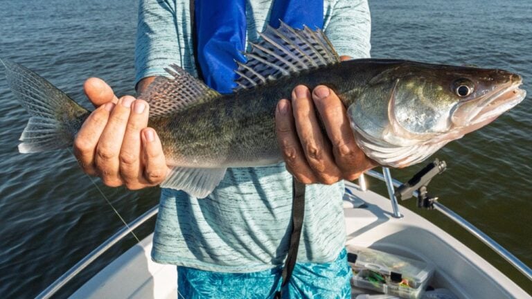 9 Things South Dakotans Miss Most After They Move Away
