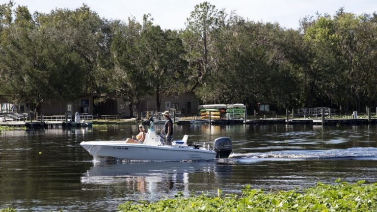 8 Boat Registration Renewal Traps That Catch Floridians Off Guard