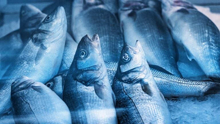 6 Publix Seafood Counter Mistakes Floridians Make