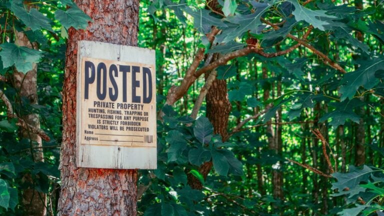 6 Deer-Hunting Land-Lease Rules That Surprise New Wisconsin Landowners