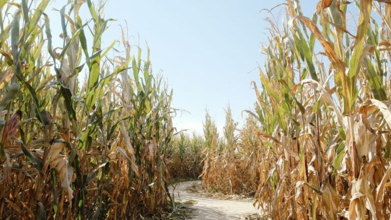 9 Things Pennsylvanians Change the Week Fall Truly Arrives
