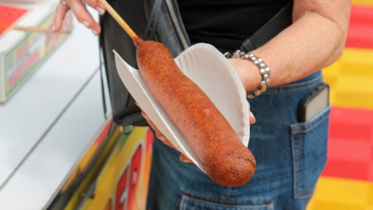 10 Minnesota State Fair Foods With Histories Stranger Than Their Ingredients