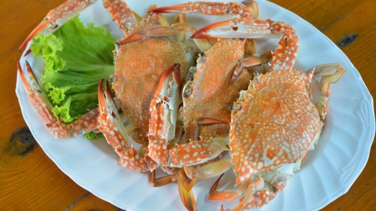9 Things That Give a Marylander Away the Moment They Leave the State