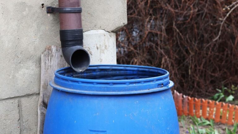 4 Rainwater Collection Mistakes That Get North Carolinians Fined