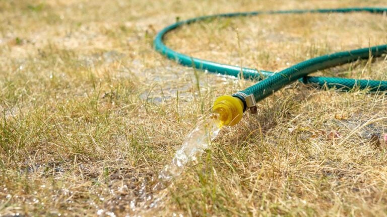 8 Water Rules That Surprise New Utah Homeowners