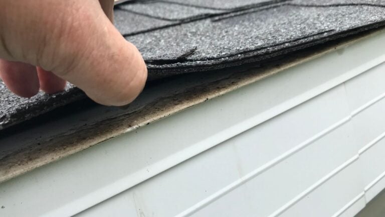 8 Insurance Non-Renewal Triggers Floridians Never See Coming