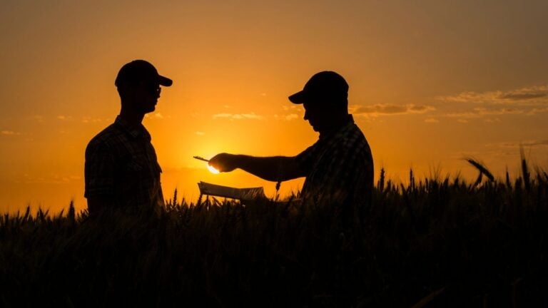 7 Farm Lease Terms That Cost Iowa Landowners Every Renewal