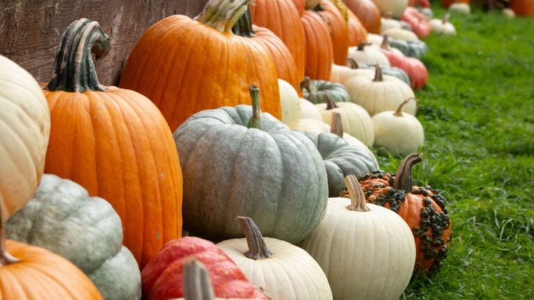 8 Pennsylvania Farm Markets and Orchards Worth Driving Hours For