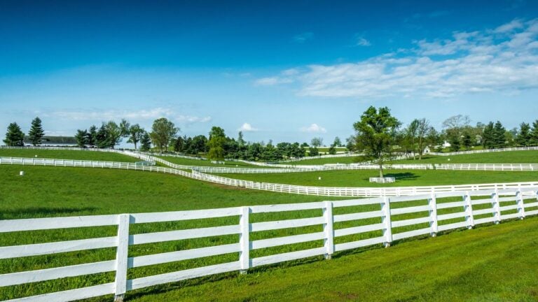 8 Tiny Clues That Reveal Which Part of Kentucky Someone Comes From