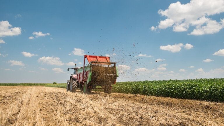 7 Right-to-Farm Rules That Surprise New Vermont Neighbors