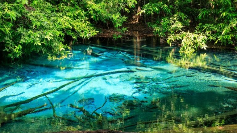 7 Florida Springs You Can’t Just Drive Up to Anymore